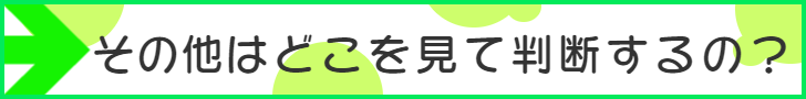 その他はどこで判断するの?